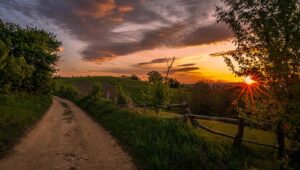 Zostań fotografem: odkryj kluczowe umiejętności i ścieżki kariery w świecie fotografii