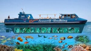 Sekrety udanych zdjęć pod wodą – techniki i porady dla każdych warunków