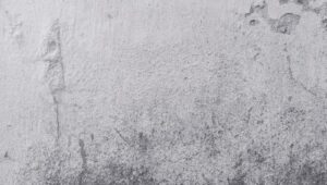 Tło do zdjęć: Odkryj proste metody na uzyskanie profesjonalnych efektów