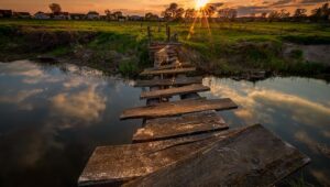 Odkryj, jak zostać fotografem: kluczowe kroki do osiągnięcia sukcesu w fotografii