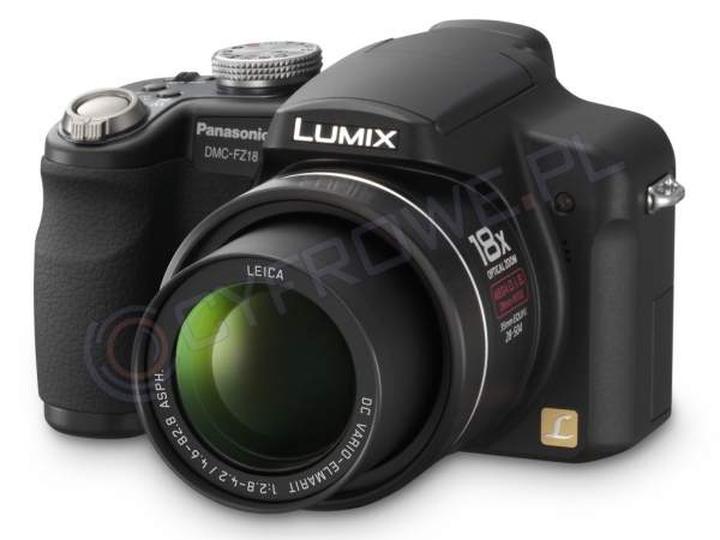 Fotografia przyrodnicza