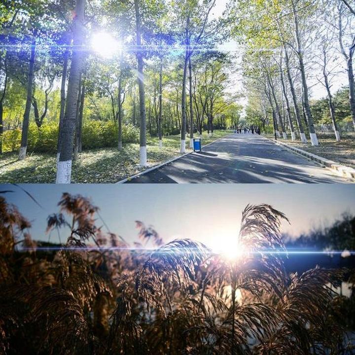 Porównanie obiektywów