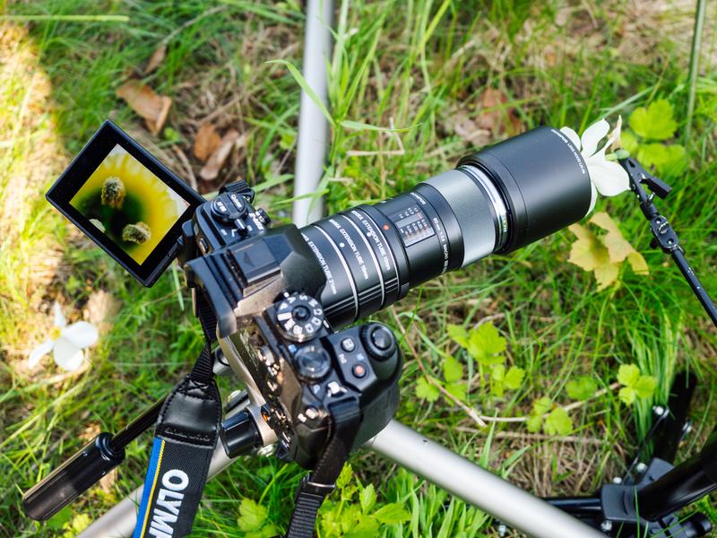 Techniki makrofotografii