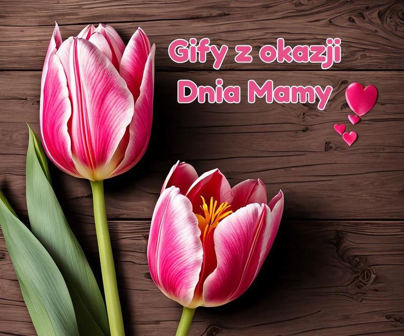 Tworzenie GIFów ze zdjęć