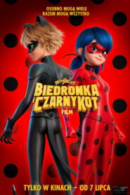 Miraculous: Biedronka i Czarny Kot. Film Vider • Oglądaj Cały Film Online!