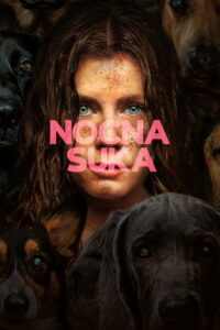 Nocna suka Vider • Oglądaj Cały Film Online!