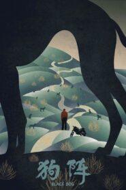 Czarny pies Cały Film