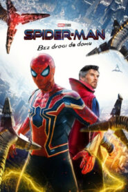 Spider-Man: Bez drogi do domu Vider • Oglądaj Cały Film Online!
