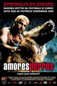 Amores perros Vider • Oglądaj Cały Film Online!