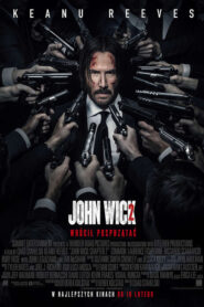John Wick 2 Vider • Oglądaj Cały Film Online!