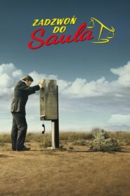 Zadzwoń do Saula Vider • Oglądaj Cały Serial Online!