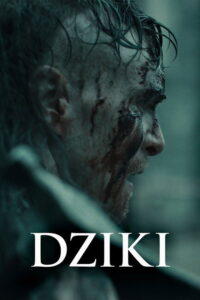 Dziki Vider • Oglądaj Cały Film Online!