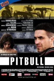 Pitbull Vider • Oglądaj Cały Film Online!