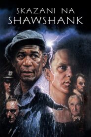 Skazani na Shawshank Vider • Oglądaj Cały Film Online!