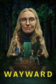 Na marginesie Vider • Oglądaj Cały Serial Online!