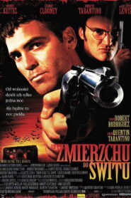 Od zmierzchu do świtu Vider • Oglądaj Cały Film Online!