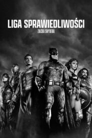 Liga Sprawiedliwości Zacka Snydera Vider • Oglądaj Cały Film Online!
