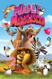 Zakochany Madagaskar Vider • Oglądaj Cały Film Online!