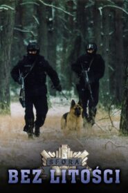 Sfora: Bez litości Vider • Oglądaj Cały Film Online!