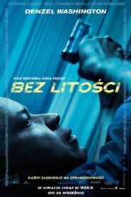 Bez Litości Vider • Oglądaj Cały Film Online!