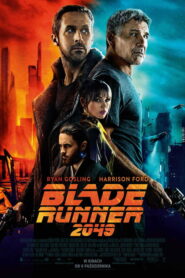 Blade Runner 2049 Vider • Oglądaj Cały Film Online!