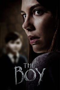 The Boy Vider • Oglądaj Cały Film Online!