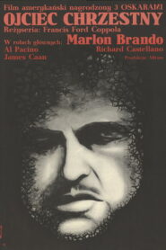 Ojciec chrzestny Vider • Oglądaj Cały Film Online!