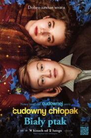 Cudowny chłopak. Biały ptak Vider • Oglądaj Cały Film Online!