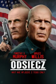 Odsiecz Vider • Oglądaj Cały Film Online!