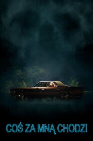 Coś za mną chodzi Vider • Oglądaj Cały Film Online!