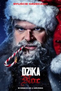 Dzika noc Vider • Oglądaj Cały Film Online!