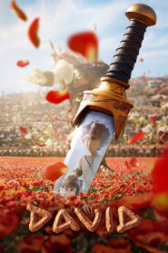 David Vider • Oglądaj Cały Film Online!