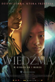 Wiedźma Vider • Oglądaj Cały Film Online!