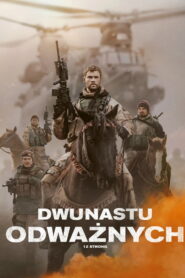 Dwunastu odważnych Vider • Oglądaj Cały Film Online!