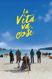 Takie jest życie Vider • Oglądaj Cały Film Online!