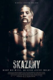 Skazany Vider • Oglądaj Cały Film Online!