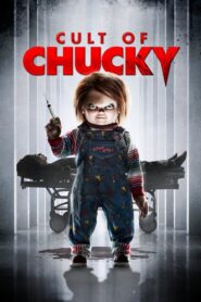 Kult laleczki Chucky Vider • Oglądaj Cały Film Online!